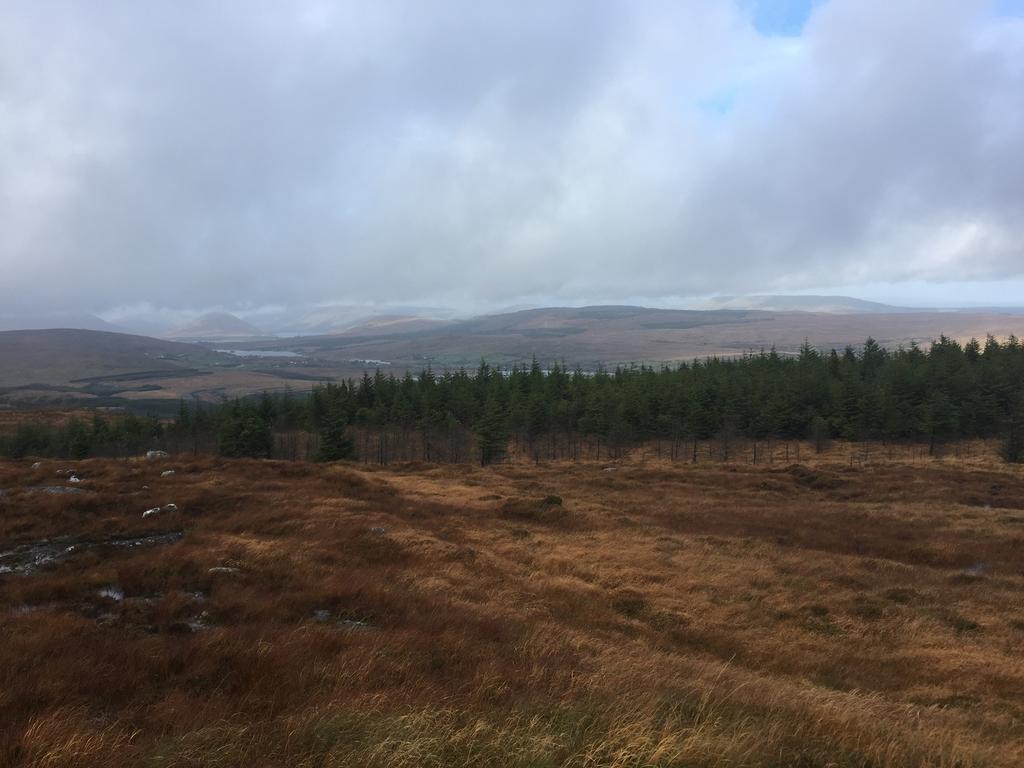 Carrowntober House B & B Oughterard Exteriör bild