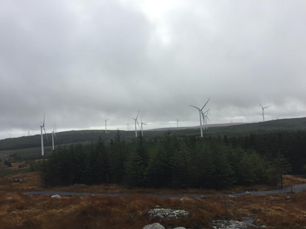 Carrowntober House B & B Oughterard Exteriör bild